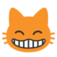 :smile_cat: ๐ธ